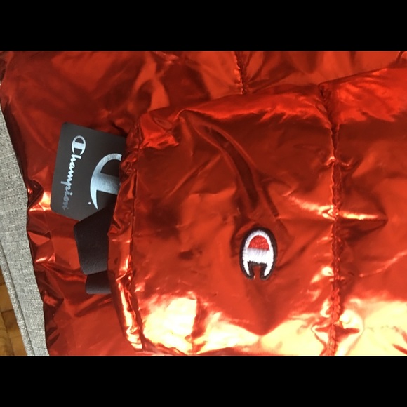 Limited Champion x NASA Metallic Puffer Jacket - Picture 3 of 8